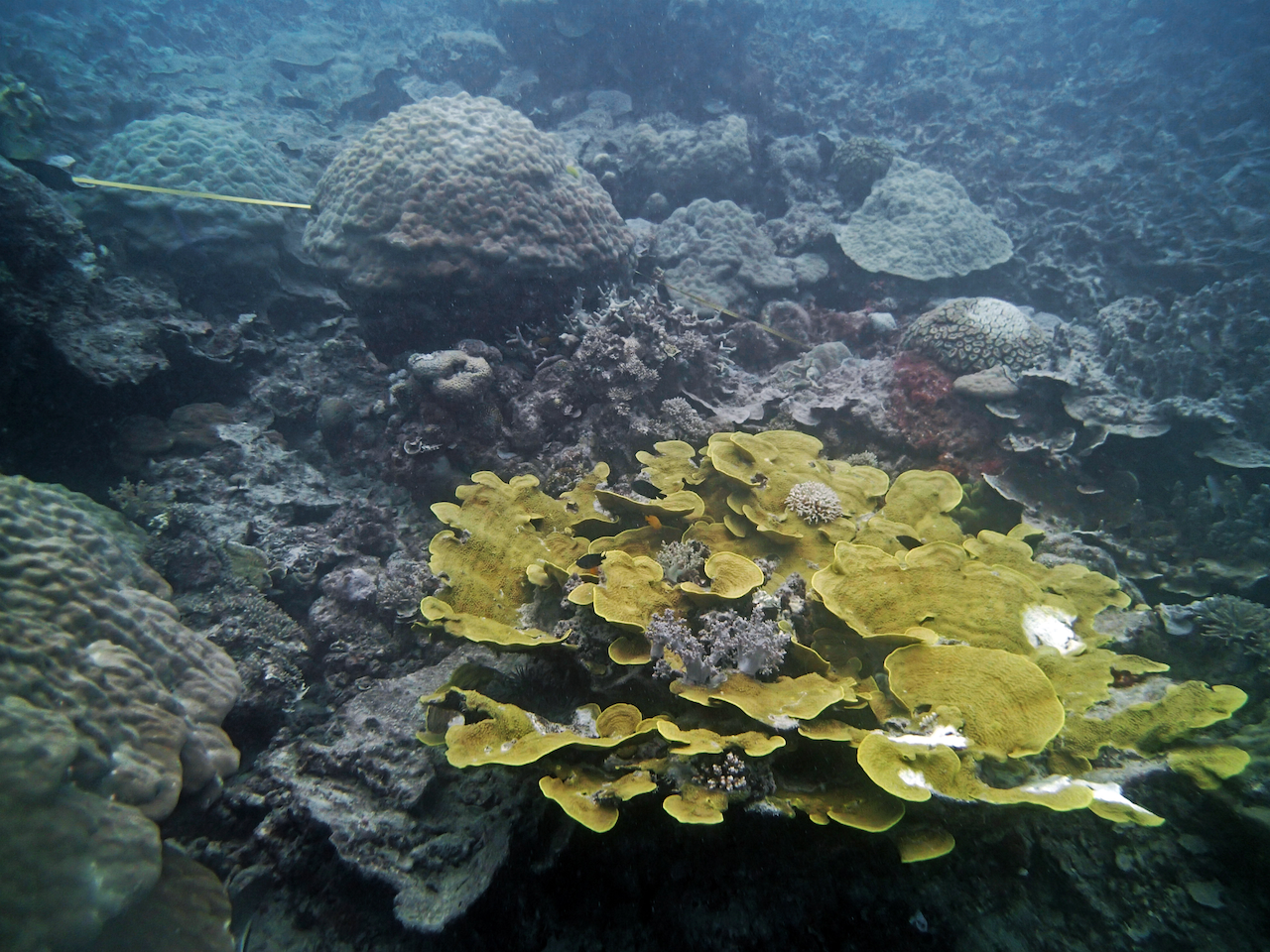 P9250409.png
