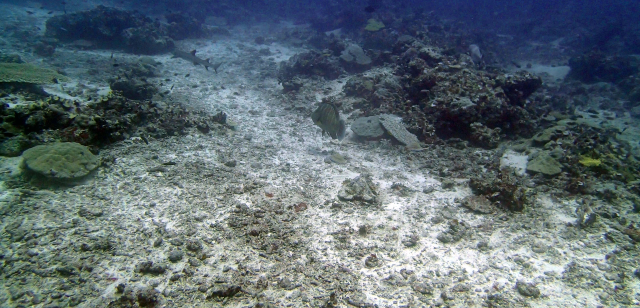 P9270068.png