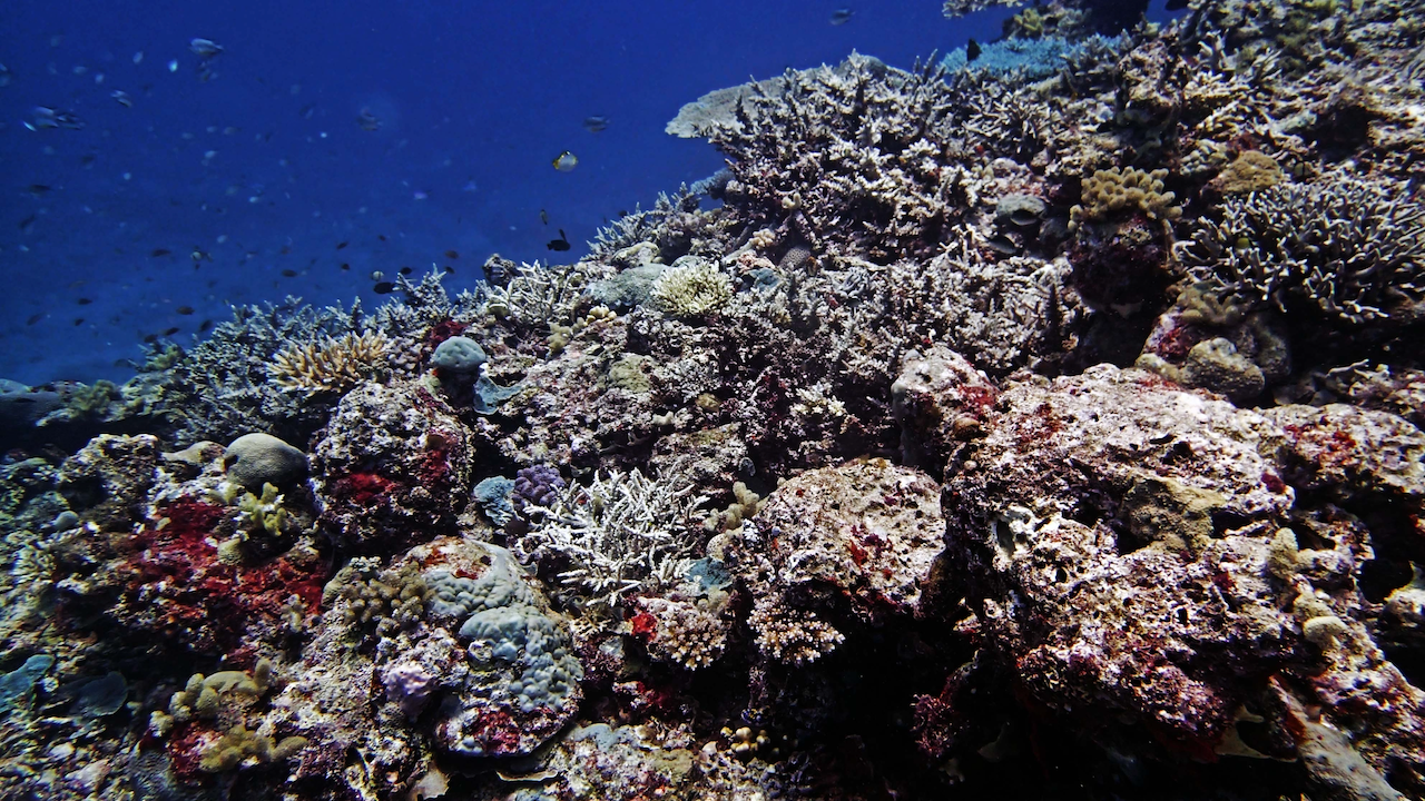 P9270080.png