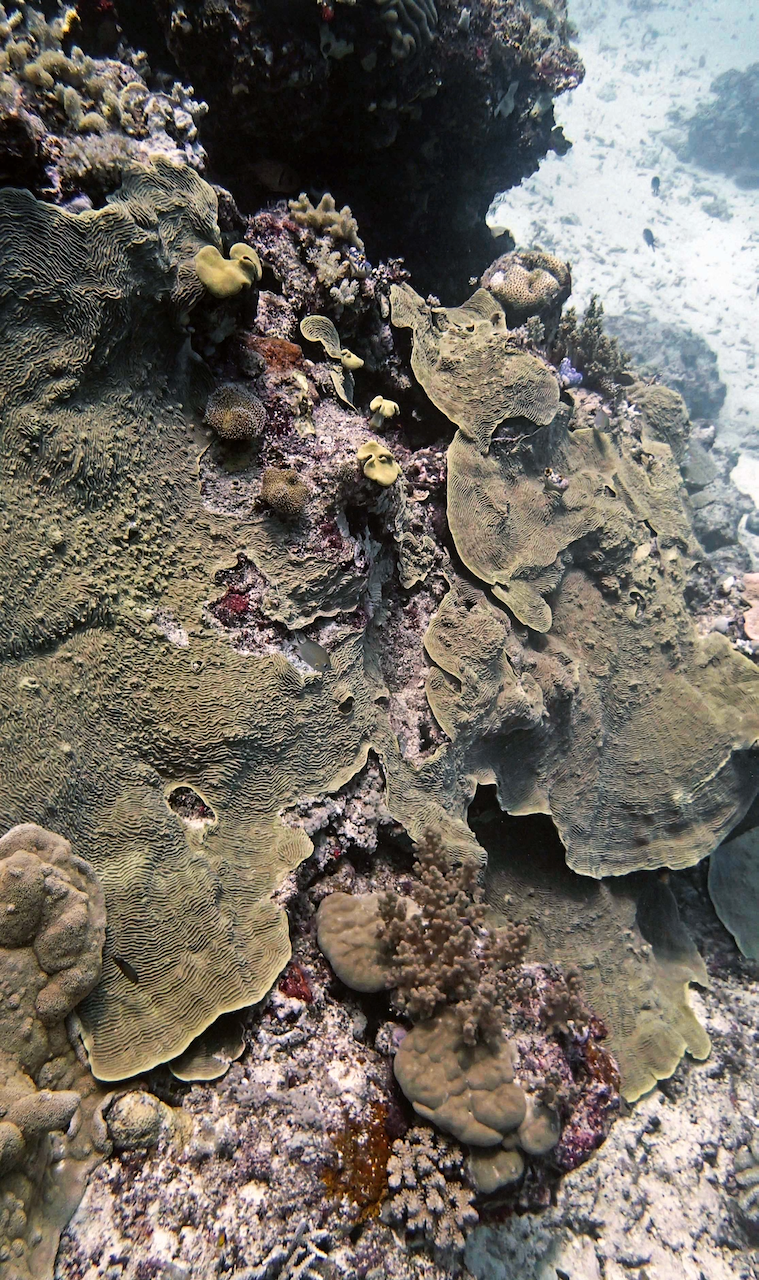 P9270077.png