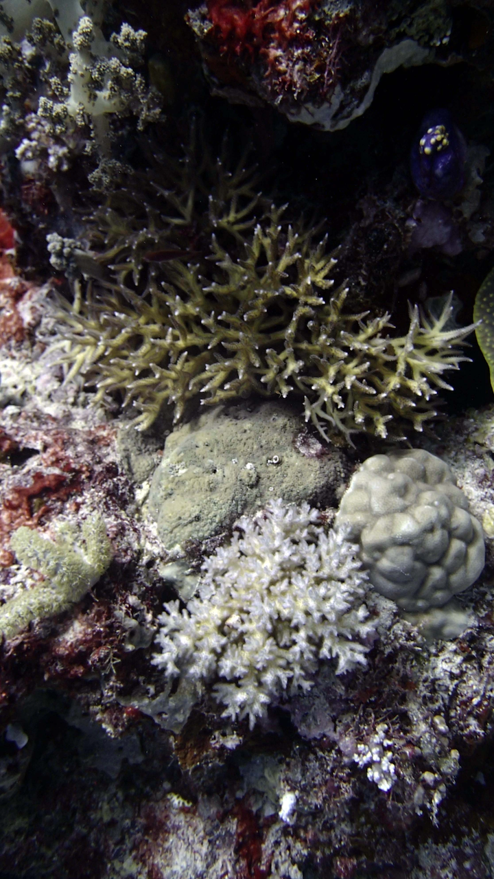 P9270078.png