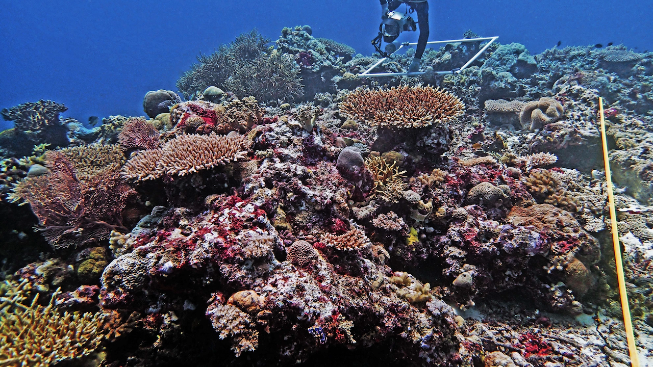 P9270081.png