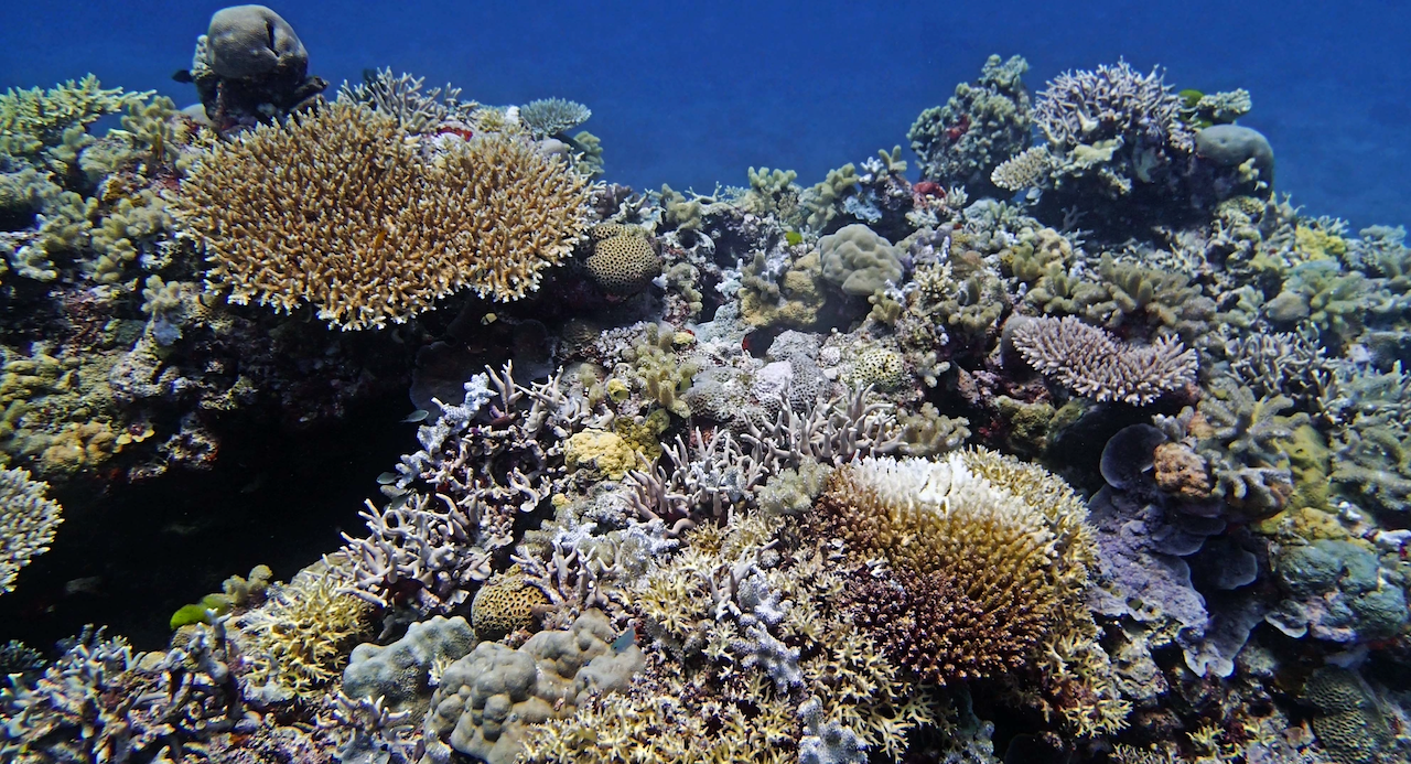 P9270088.png