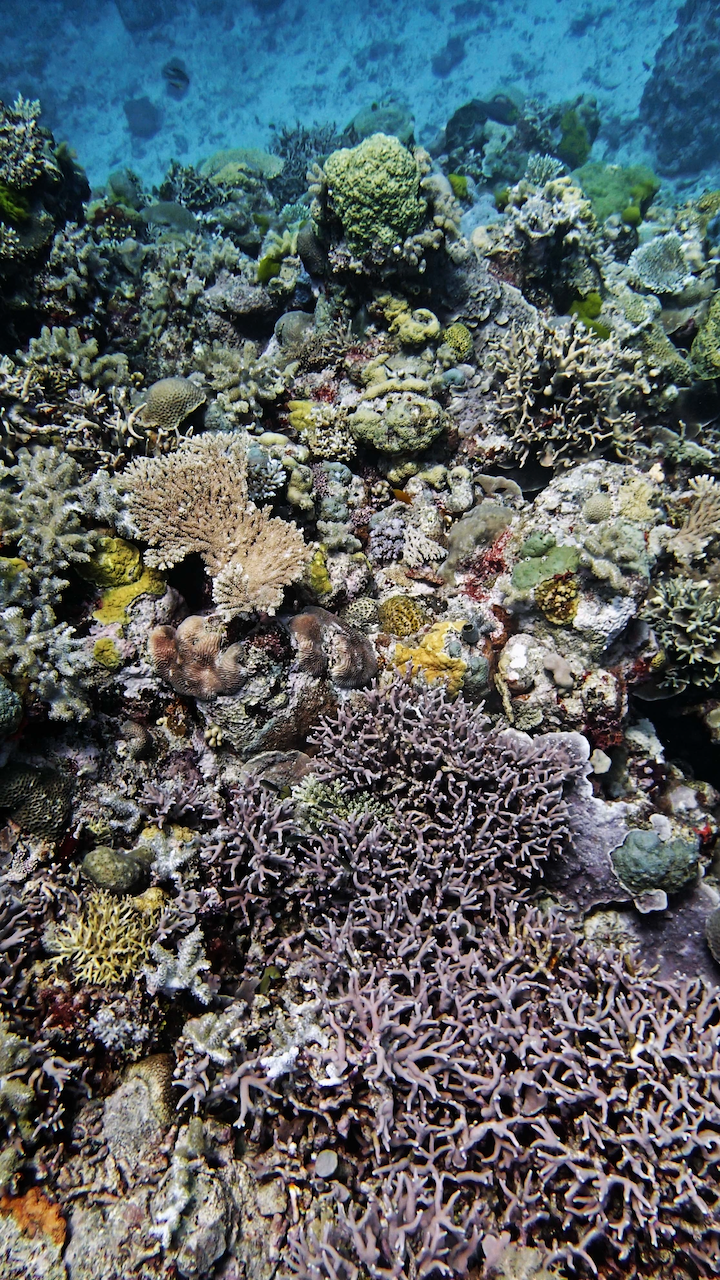 P9270089.png