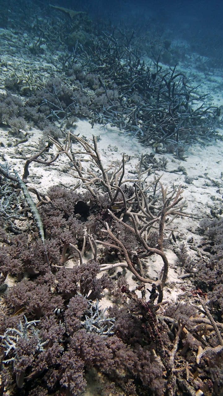P9270091.png