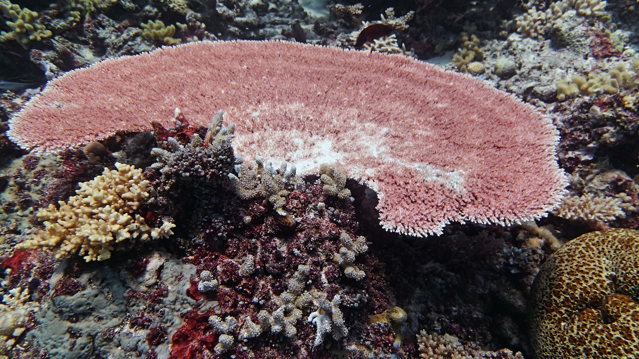 P9270092.png