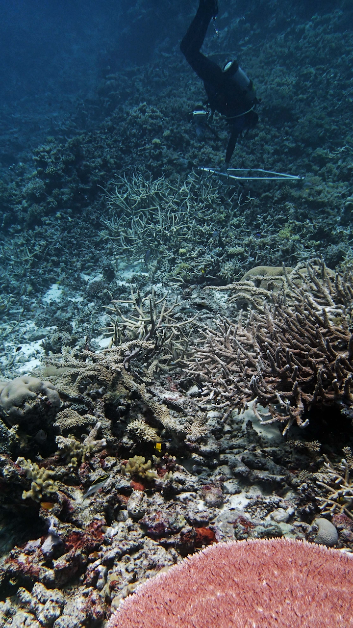 P9270093.png