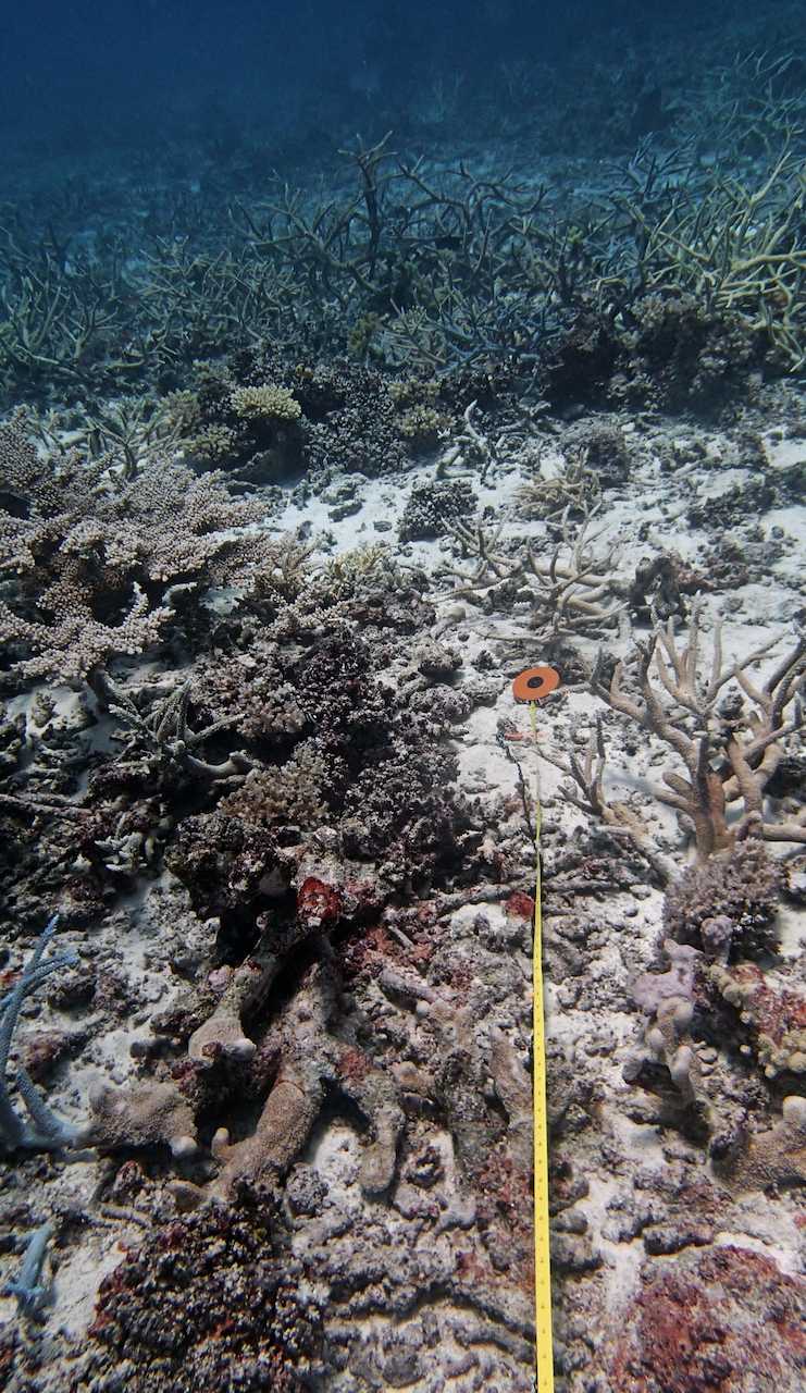 P9270094.png