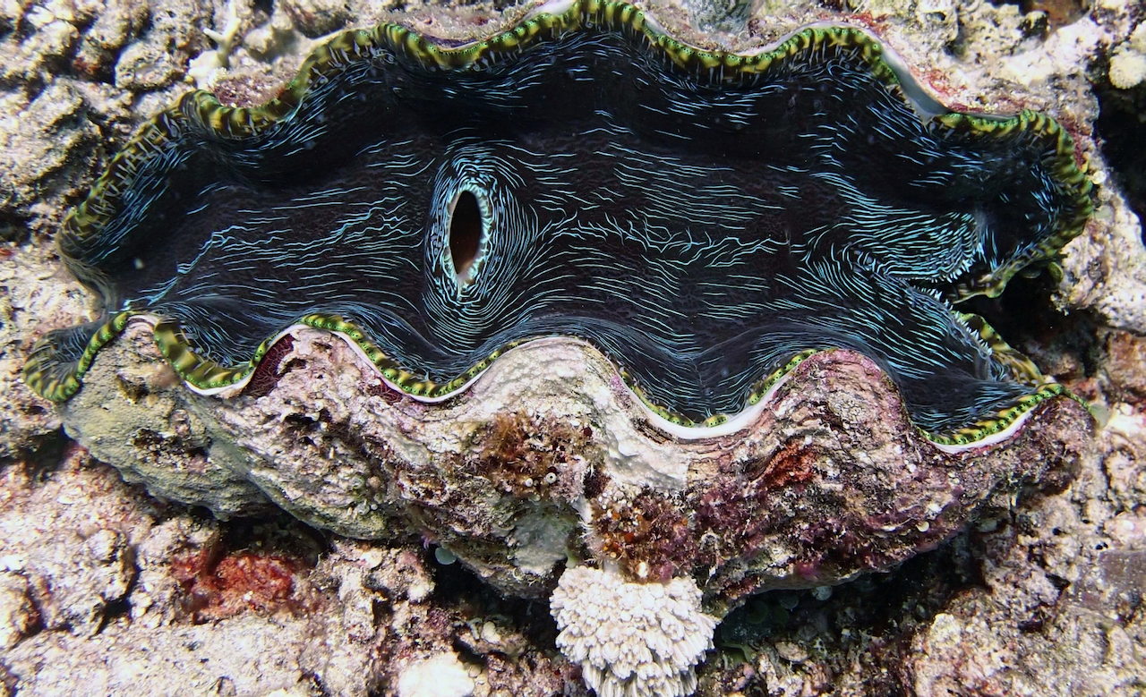 P9270107.png