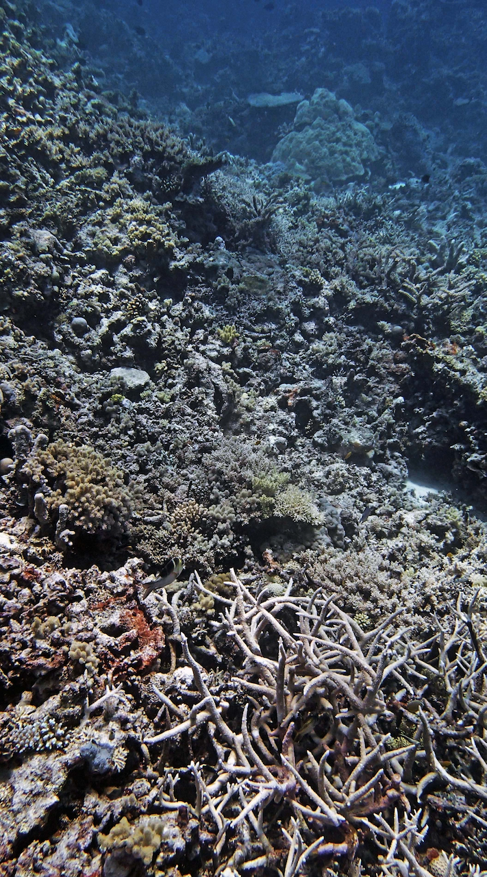 P9270113.png