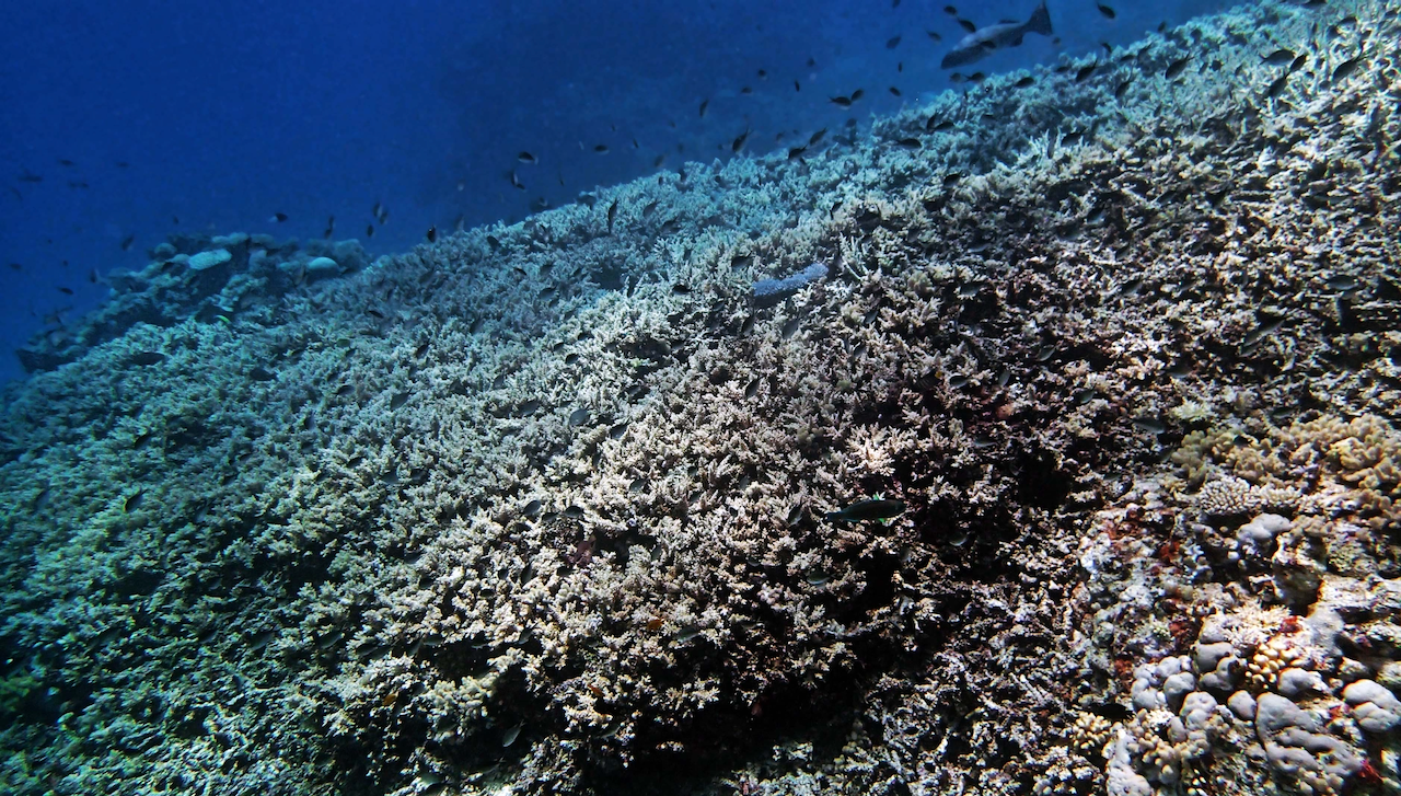 P9270114.png