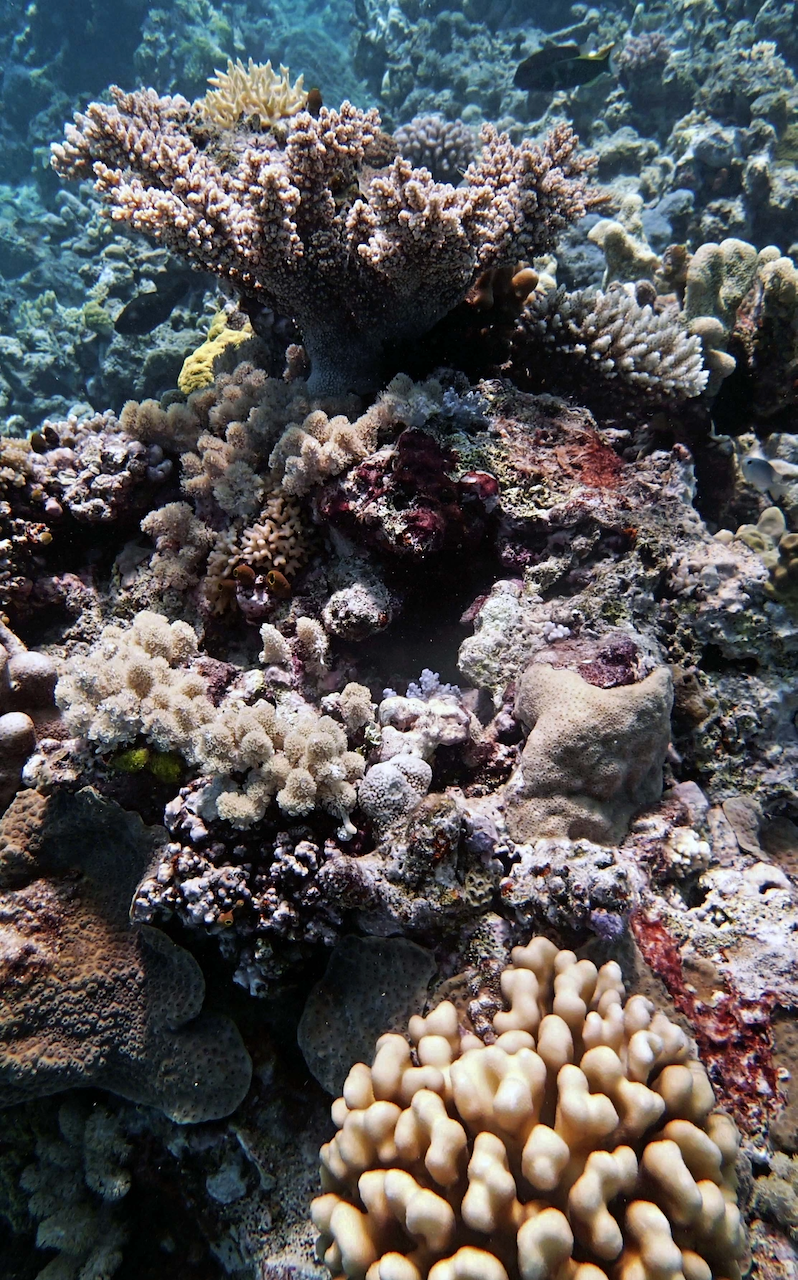 P9270115.png