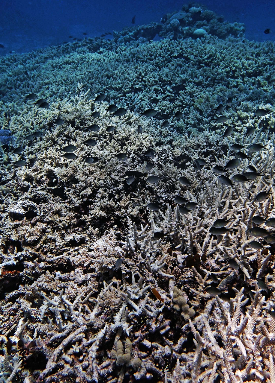 P9270118.png