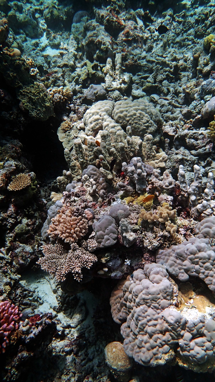 P9270119.png