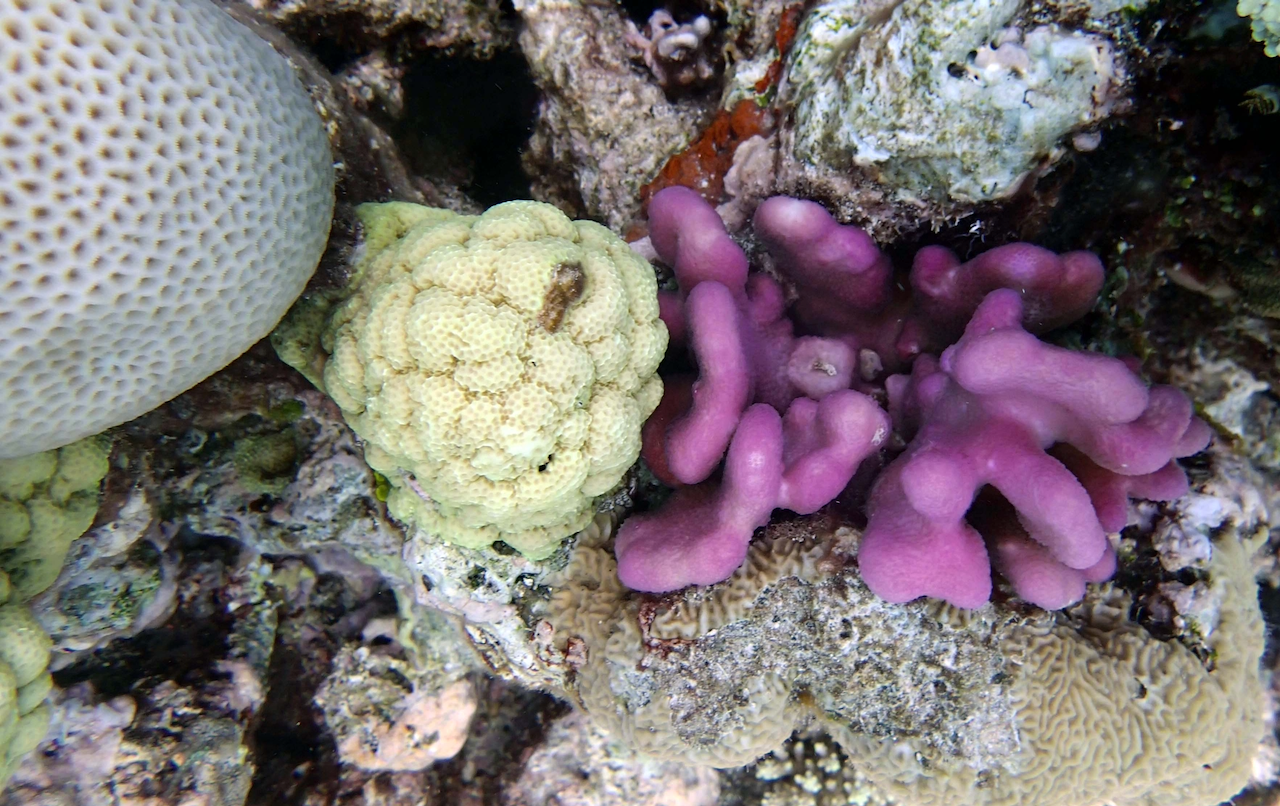 P9270127.png