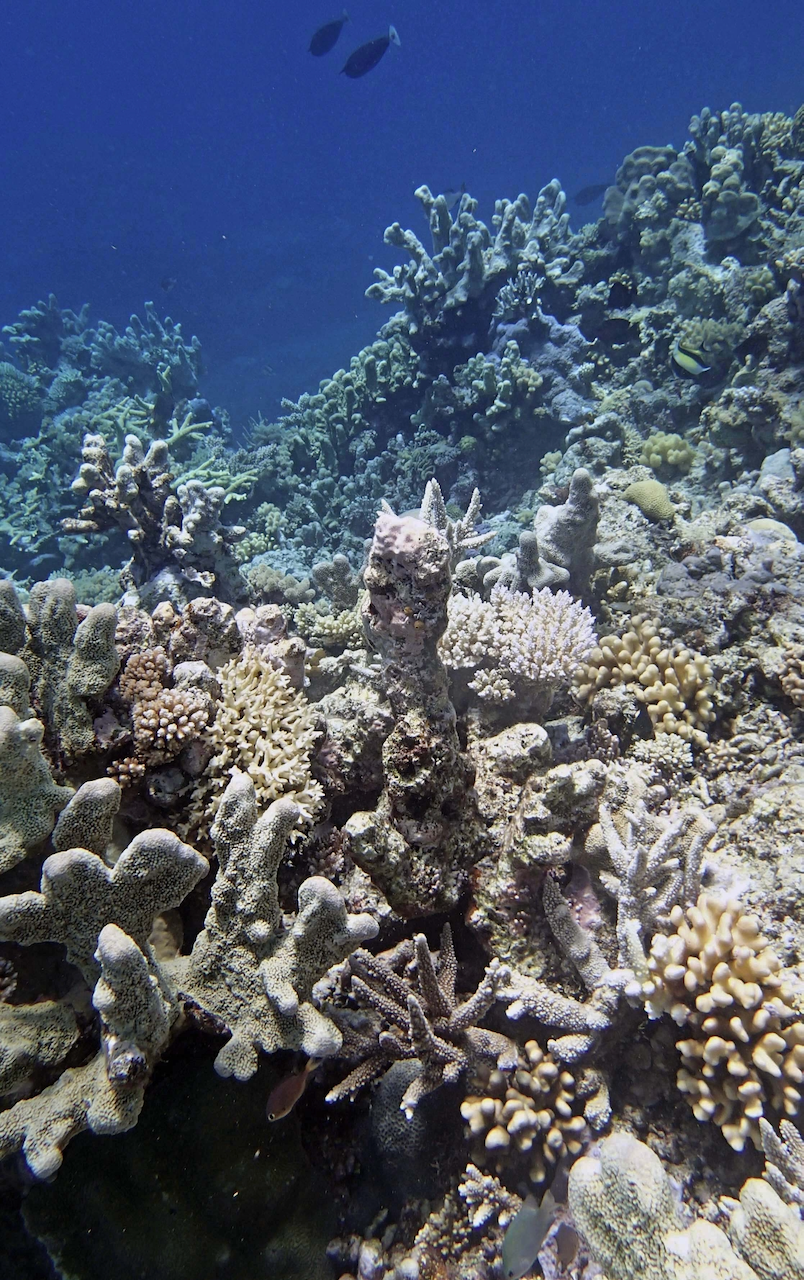 P9270130.png