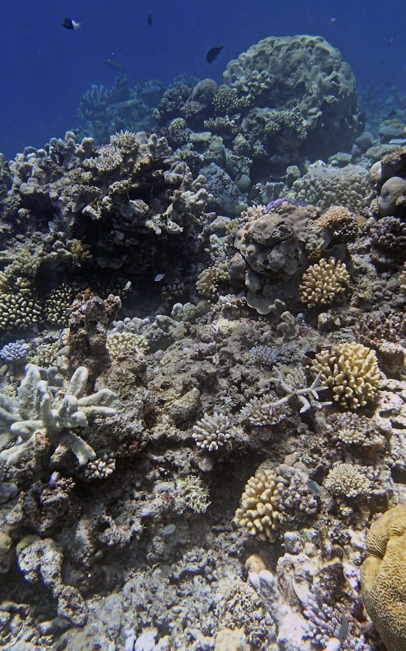 P9270131.png