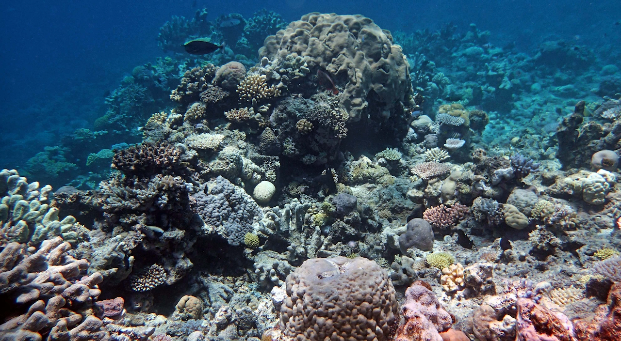 P9270133.png