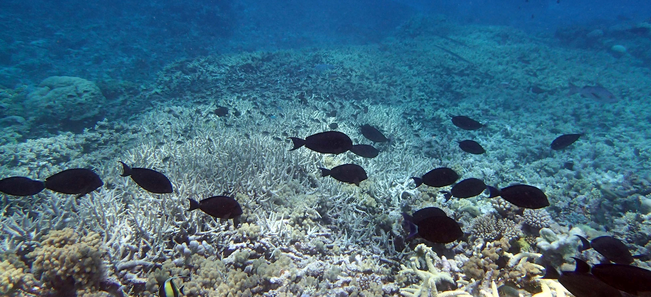 P9270134.png