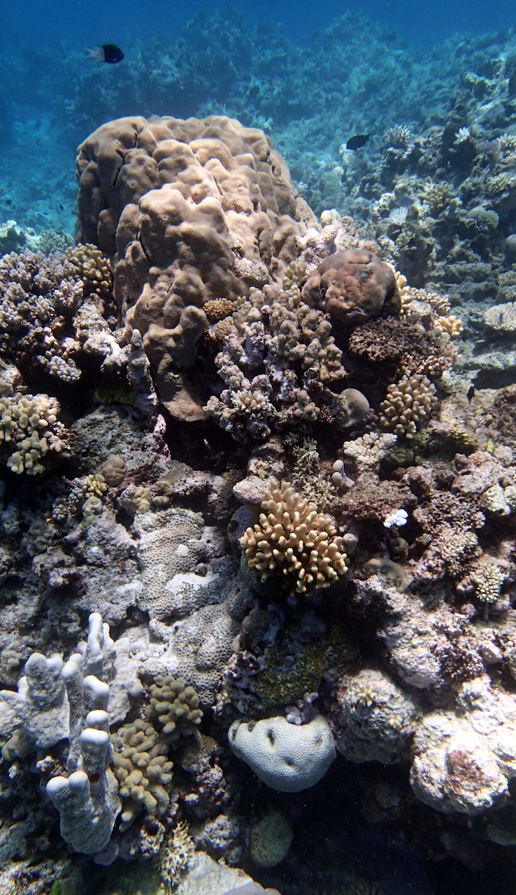 P9270136.png