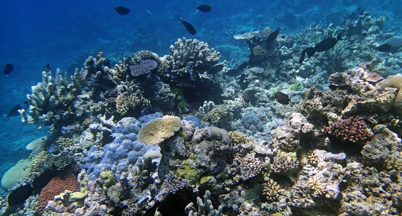 P9270137.png