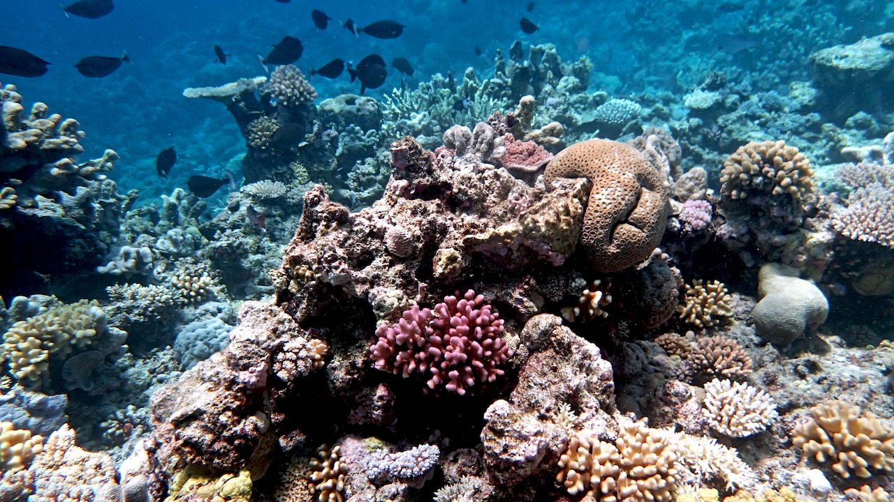 P9270138.png