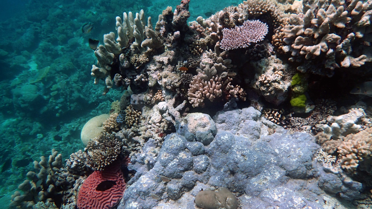P9270139.png
