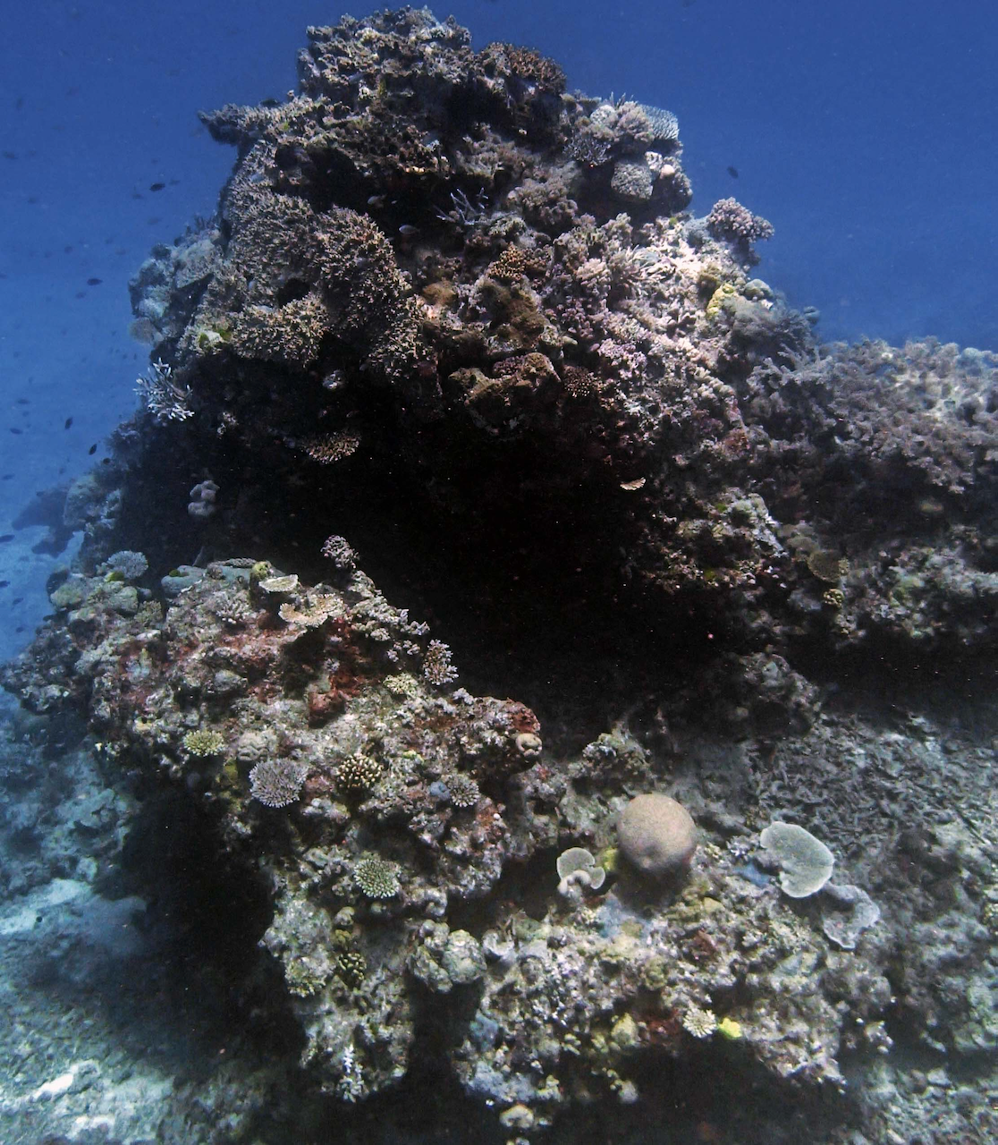 P9270140.png