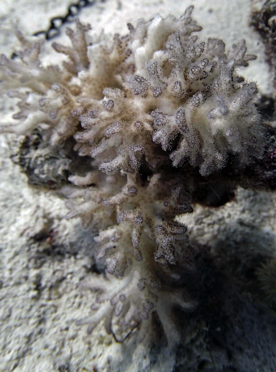 P9270012.png