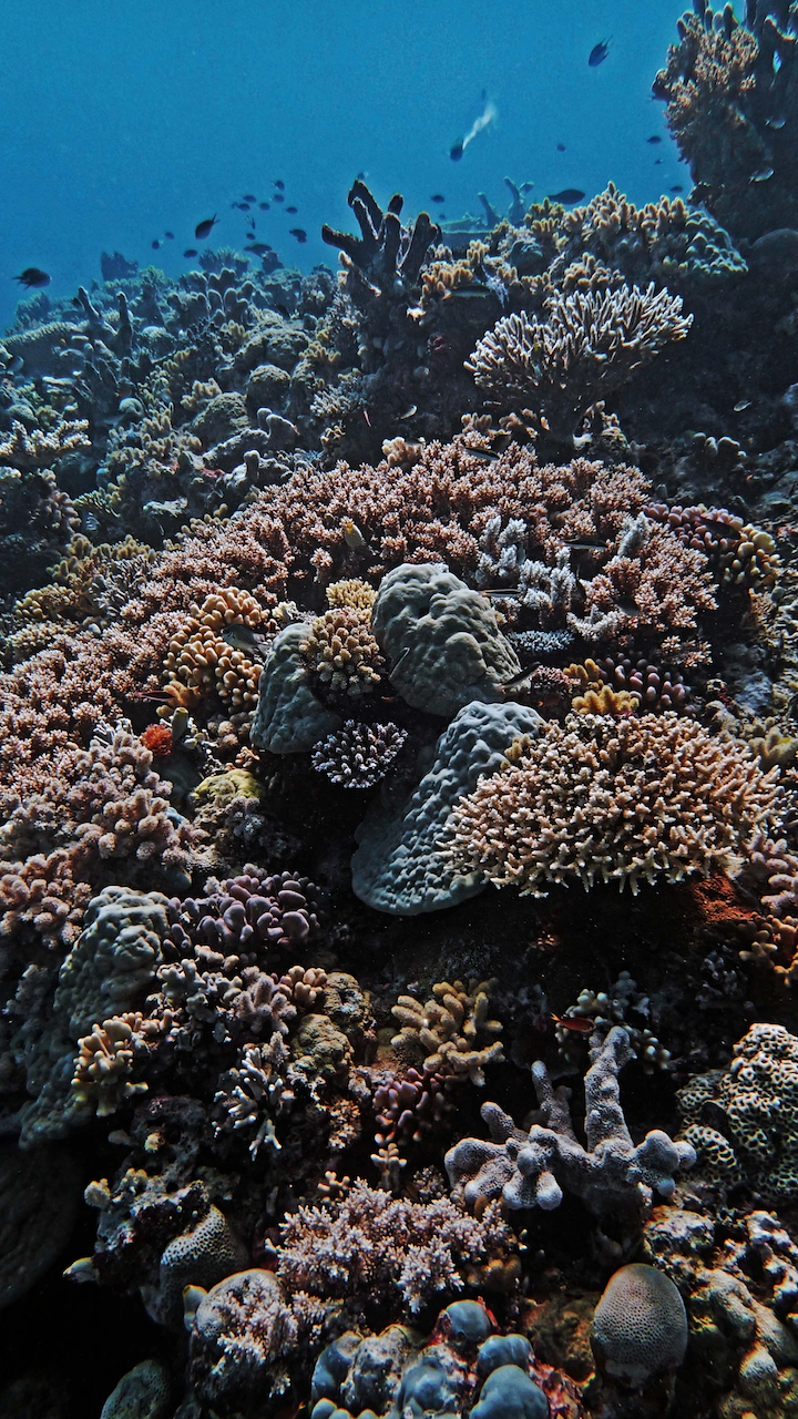 P9270037.png