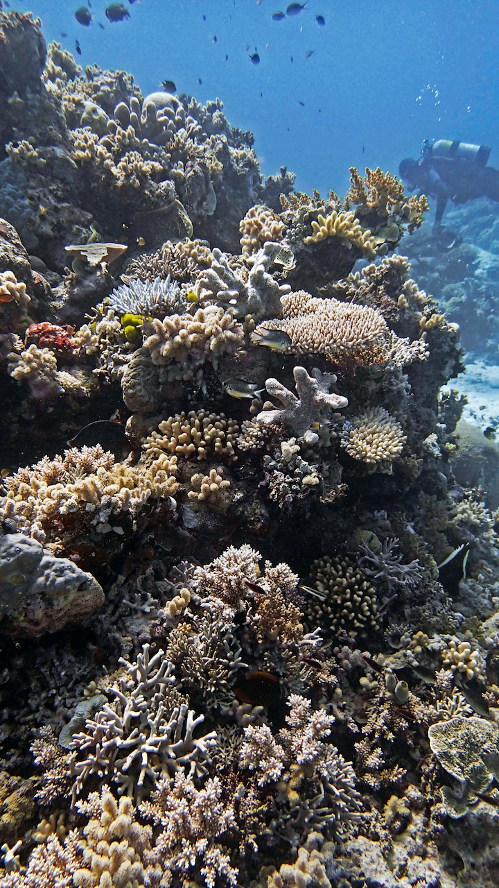 P9270038.png