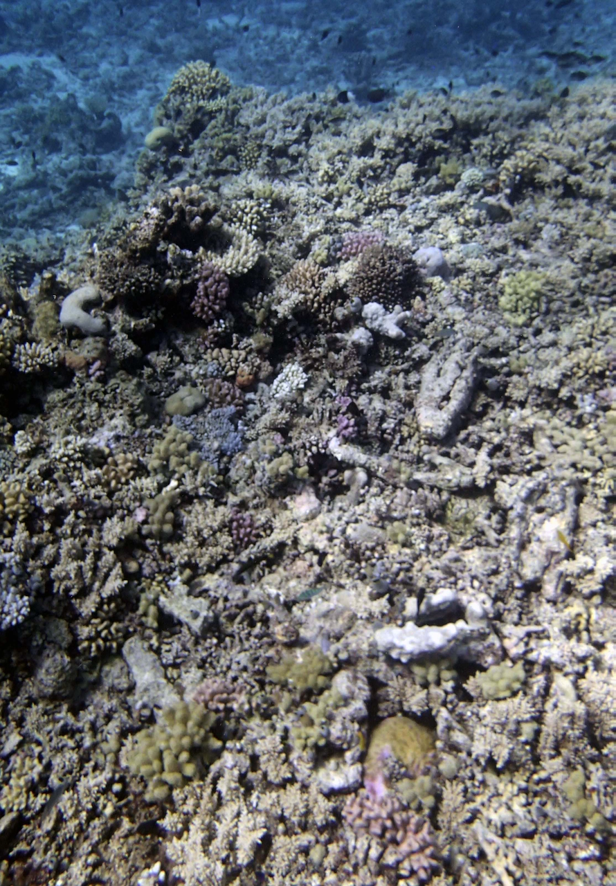 P9270043.png