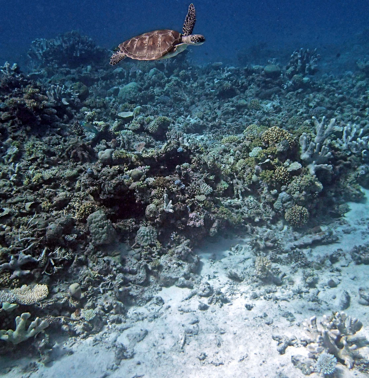 P9270044.png