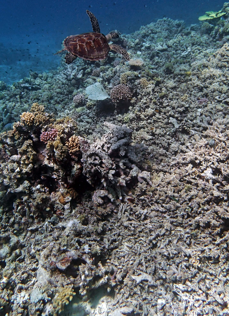 P9270046.png
