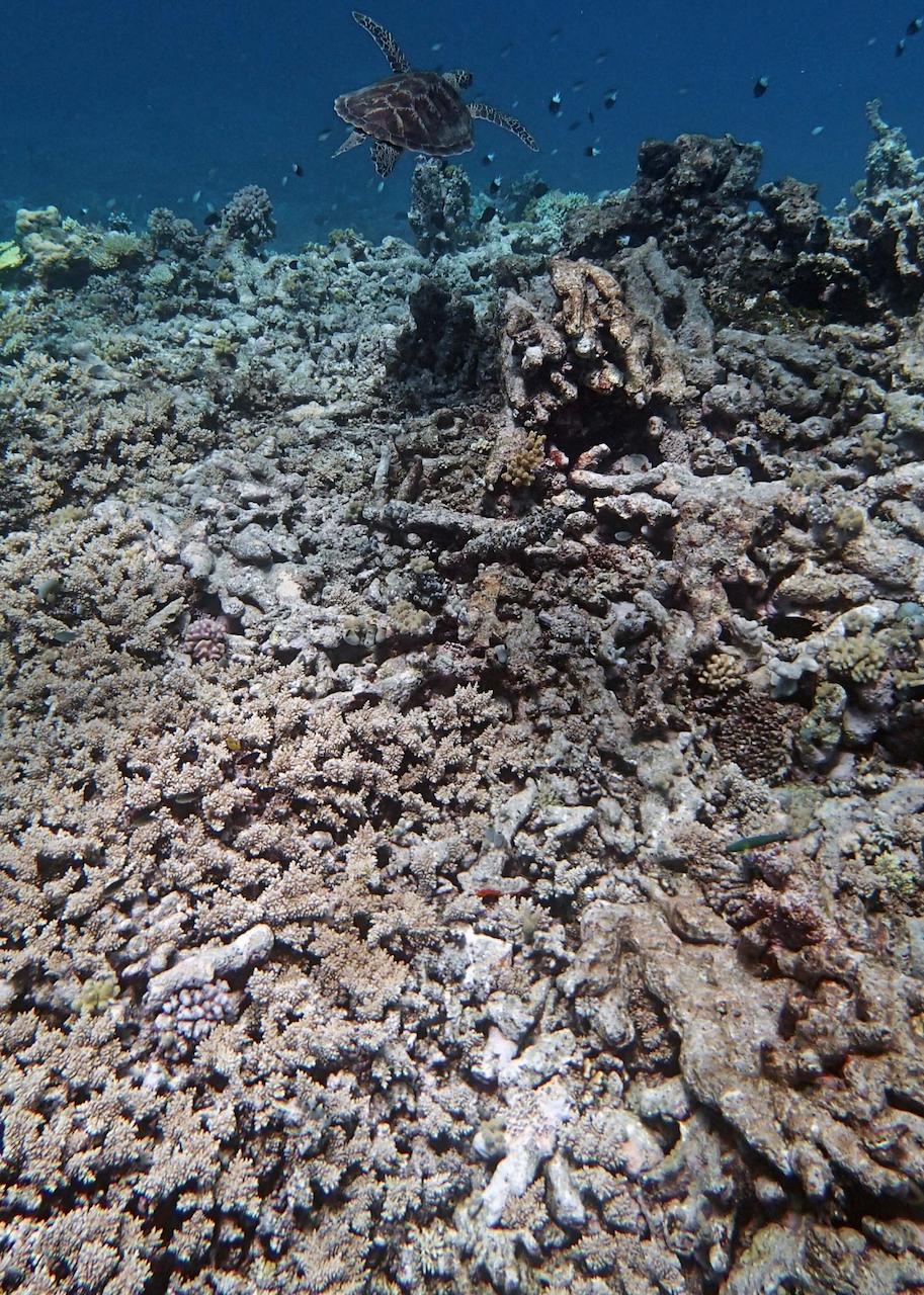 P9270047.png