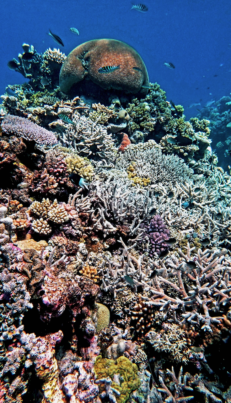 P9270050.png