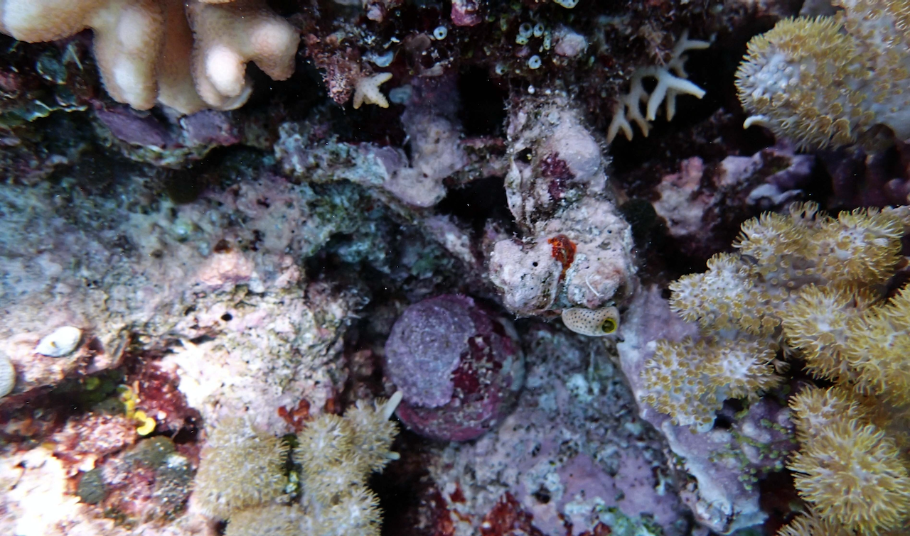 P9270052.png