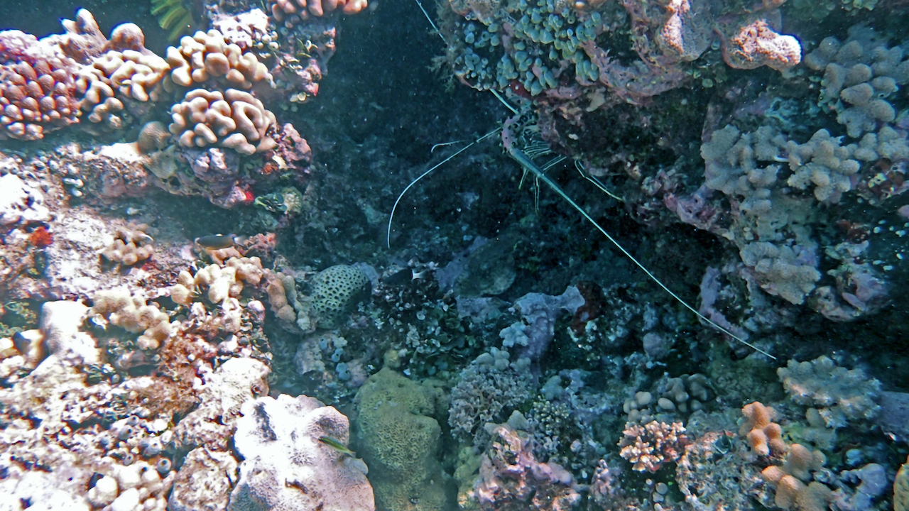 P9270057.png