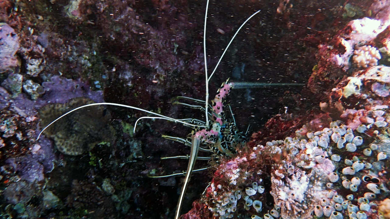 P9270059.png