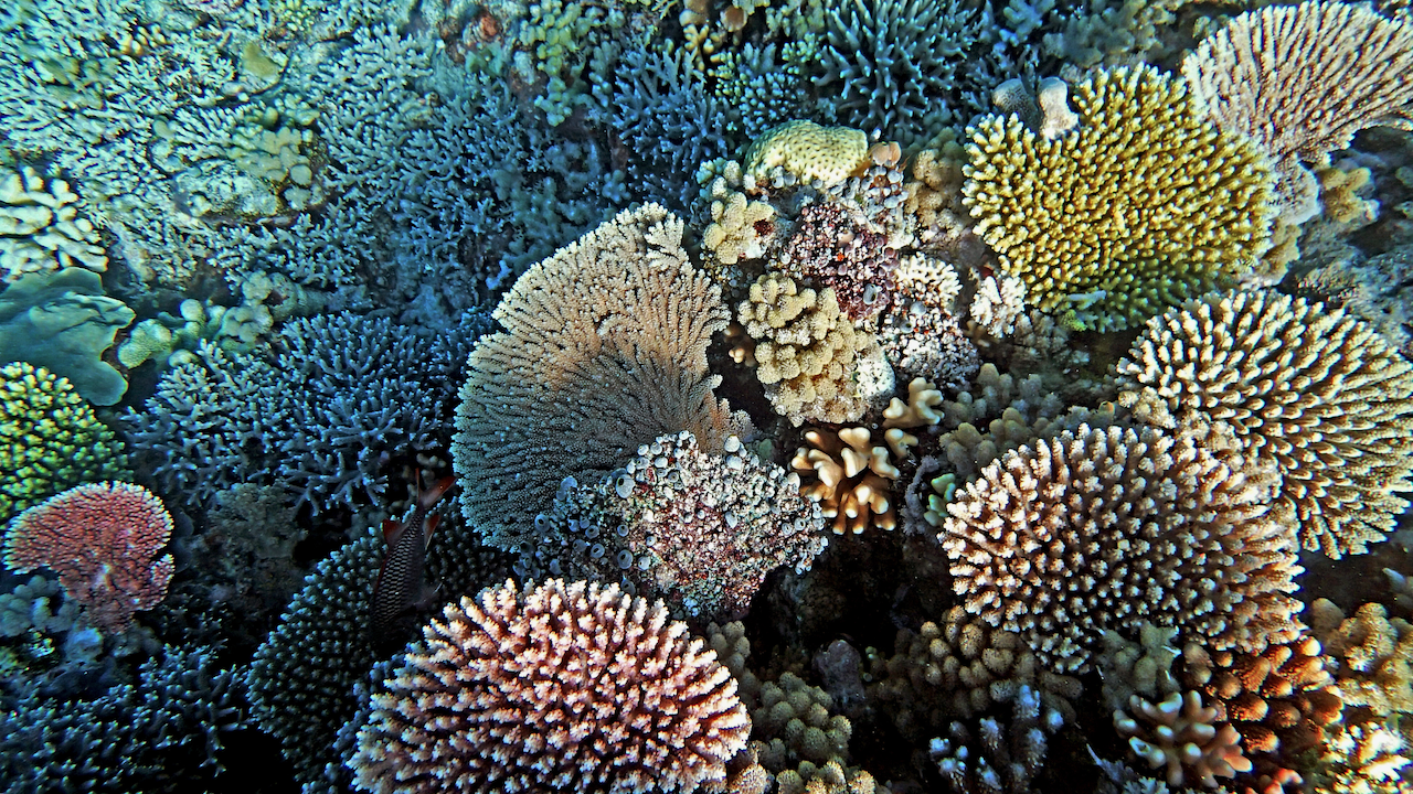 P9270065.png