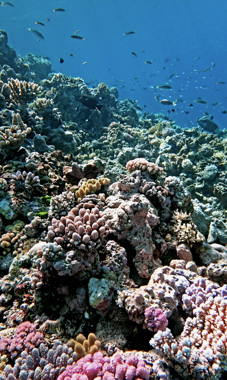 P9270066.png