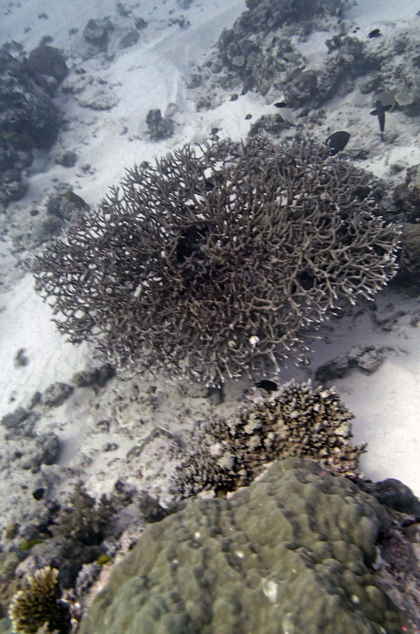 P9270005.png