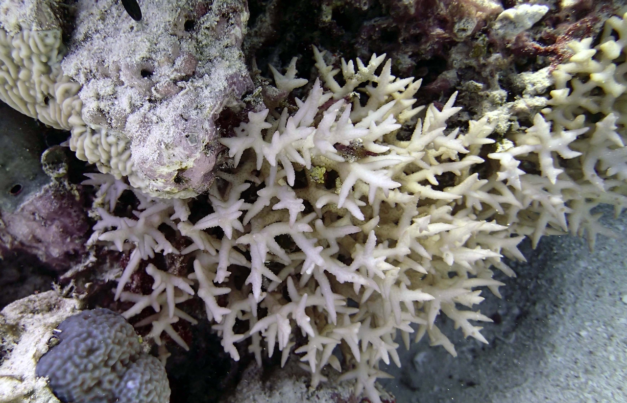 P9270025.png