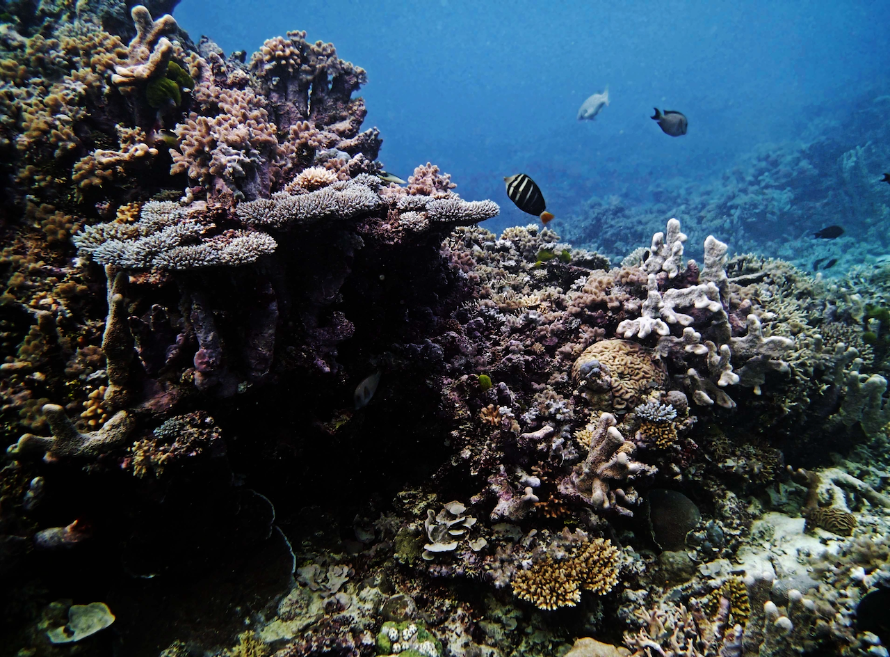P9270033.png