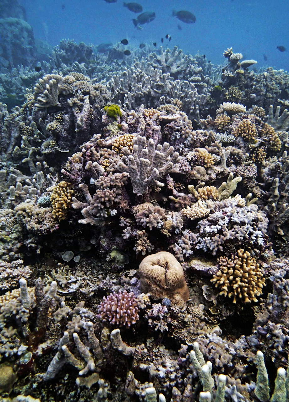 P9270034.png