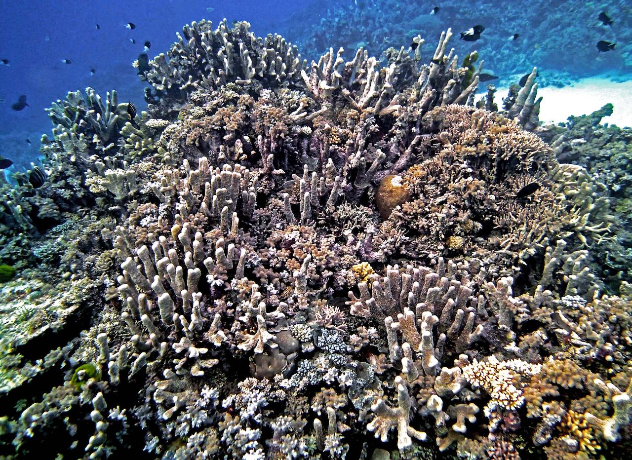 P9270038.png