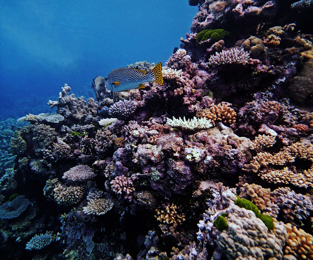 P9270040.png