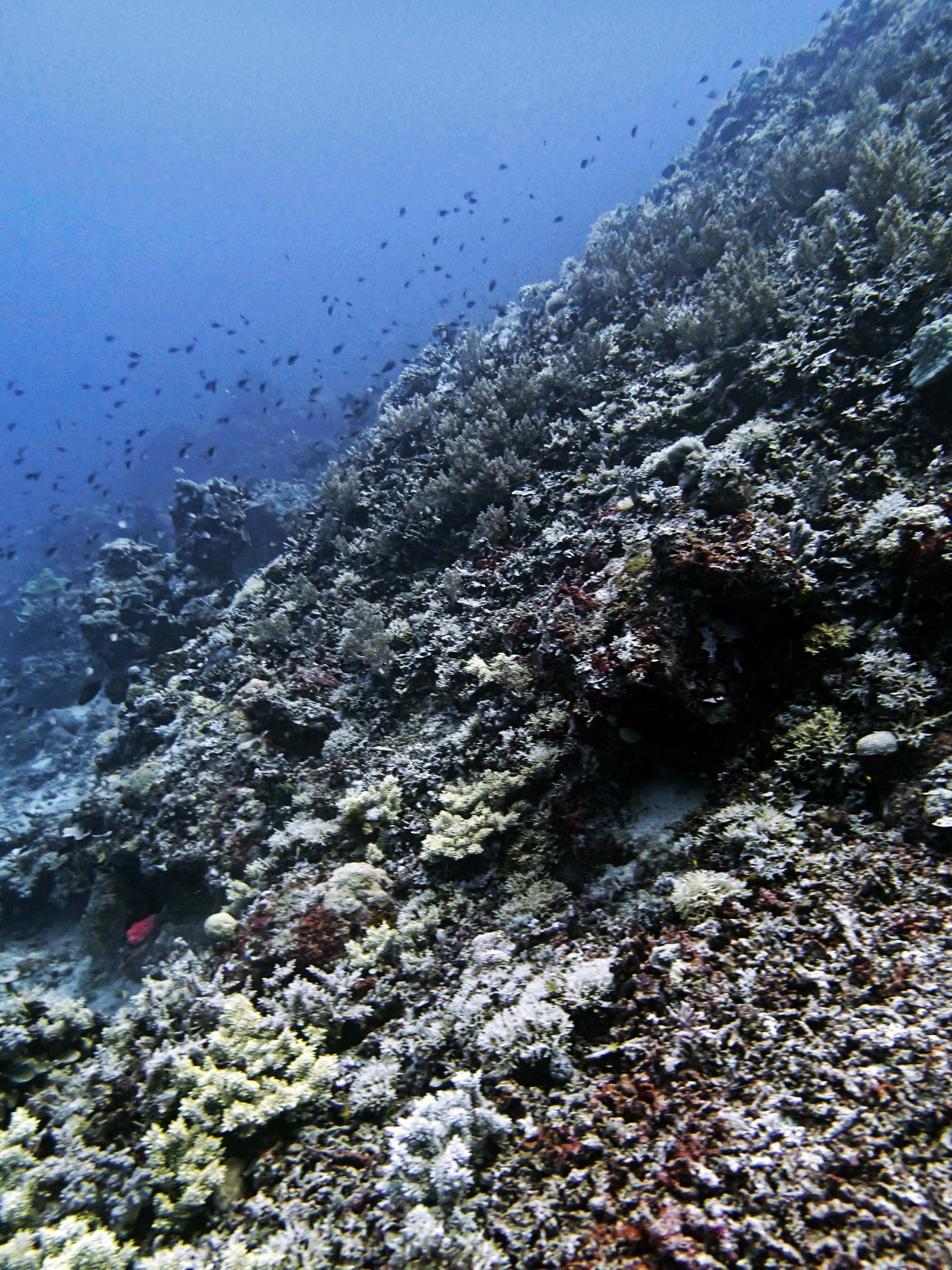 P9280012.png