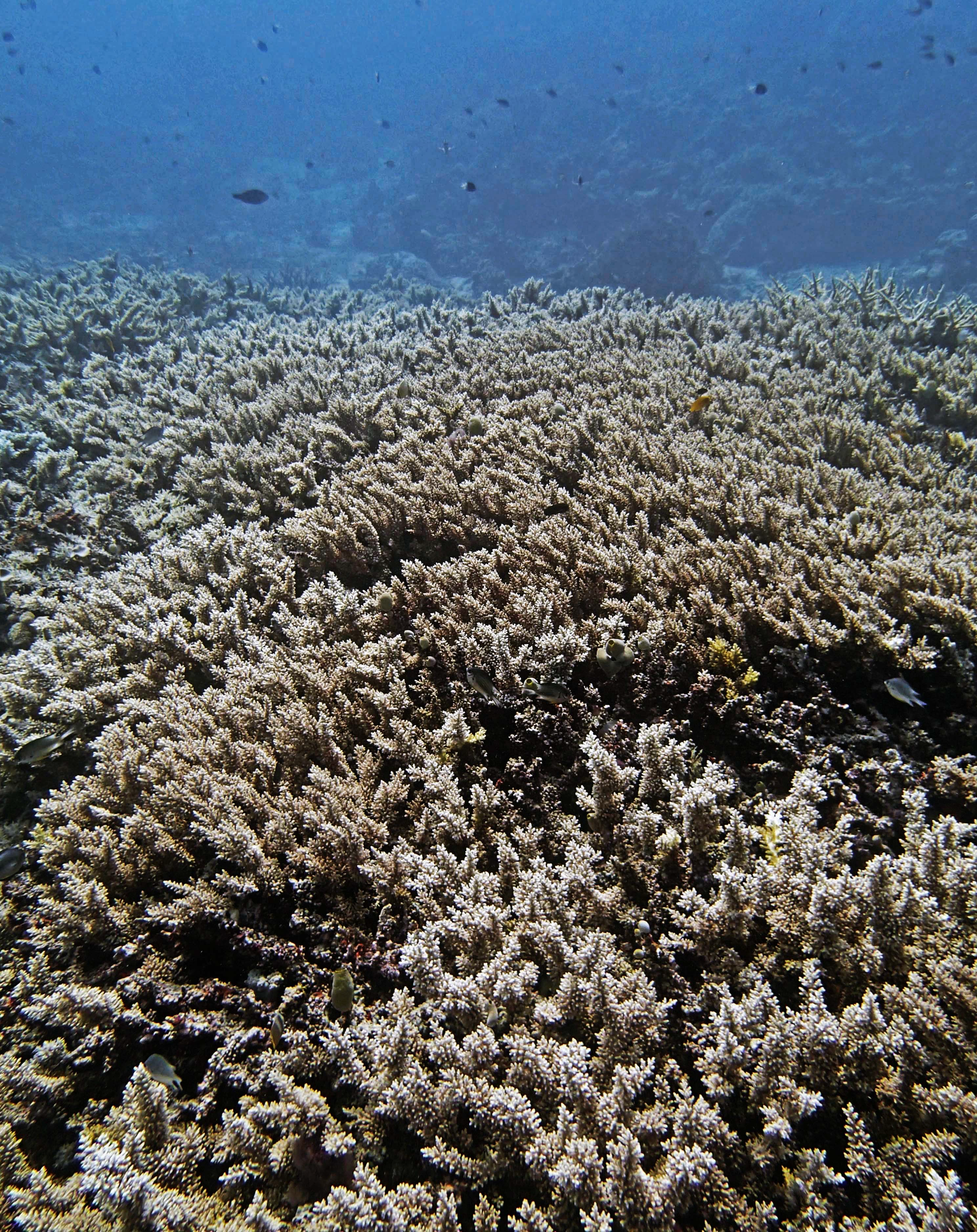 P9280018.png