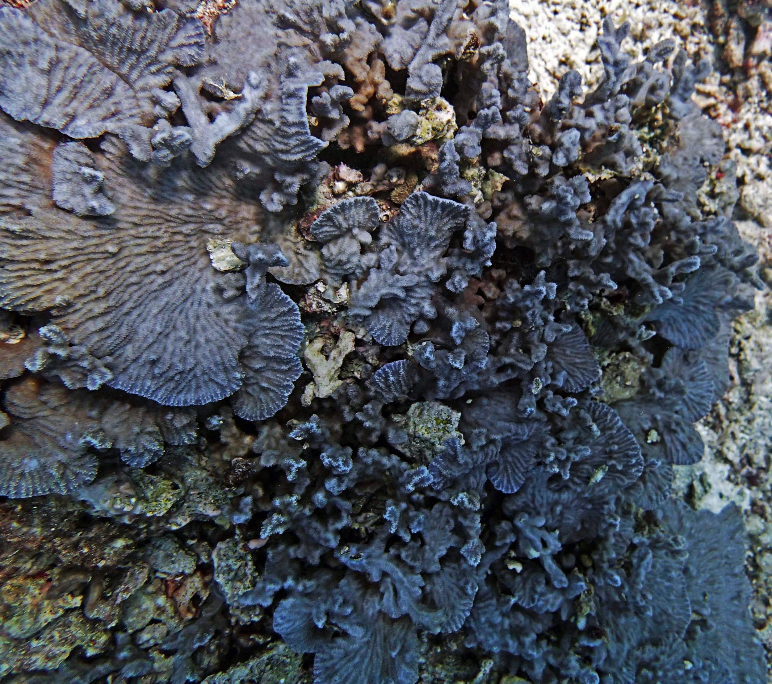 P9280024.png